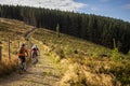 Mountain Bikers riding towards a forest in Ireland