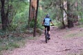 Mountain biking person riding on bike in the forest