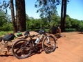 Mountain biking in the plantation