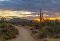 Mountain Biking Trail At Sunrise In Desert Preserve Scottsdale