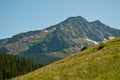 Mountain Bliss Meadows of Fields of Grass