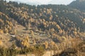 Mountain of Boge, Rogove surrounded by colorful forest in the autumn season