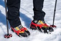 Mountain boots with GrÃ¶del and hiking poles on snow