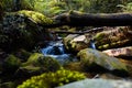 Mountain brook in Australian rain forest