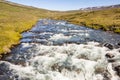 Mountain brook - Iceland, Westfjords.