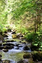 Mountain brook running along the Strazyska Valley in Tatra Mountains, Podhale, Poland.