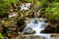 Mountain brook among wet stones Royalty Free Stock Photo