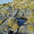 Mountain, bush and water on rock with grass outdoor in nature, environment and spring in countryside. Hill, moss and Royalty Free Stock Photo