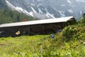 Mountain cabin with blue gentian