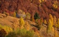 Mountain cabin in Carpathian mountains ,country side autumn in Romania Royalty Free Stock Photo