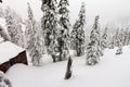 Mountain Cabin During a Winter Blizzard Royalty Free Stock Photo