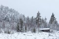 Mountain cabin in the woods