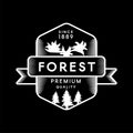 Mountain Camp Forest Travel Graphic Emblem Design Royalty Free Stock Photo