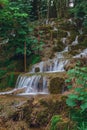 Mountain cascade stream with silky motion blurred water in a beautiful forest. Royalty Free Stock Photo