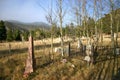 Mountain Cemetery Royalty Free Stock Photo