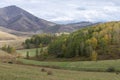 Mountain Charysh Altai Territory, Russia, autumn horizontal landscape with mown meadows, hay in bales, forests and snow-capped