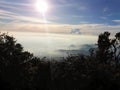 MOUNTAIN CIKURAY, INDONESIA. Silhouette of plants above with a view of the expanse of clouds above the Mount Cikuray. Royalty Free Stock Photo