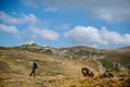 Mountain cliff with dog