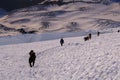 Mountain climbers climbing up Mt. Rainier