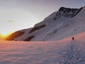 Mountain climbers crossing a glacier in the Swiss Alps at sunrise Royalty Free Stock Photo