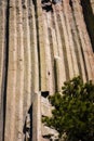 Climbers on Devils Tower in Wyoming Royalty Free Stock Photo