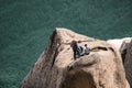 Mountain climbers prepare for descent from cliff.