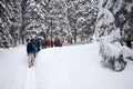 Mountain climbers