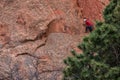 Mountain climbing rock slifee at garden of the gods colorado springs rocky mountains