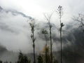 Mountain clouds, clouds like fog