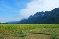 The mountain concealing Kong Lor Cave in Central Laos