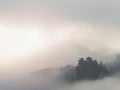 Mountain contours in clouds of heavy msit. Mountain forest