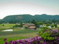 Mountain Country View with Flowers Royalty Free Stock Photo