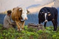 The mountain countryside of Romania with typical farm activity