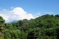 A mountain covered with green trees against a background of blue sky and white clouds. Royalty Free Stock Photo