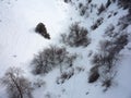 Snow-covered mountain and trees top view Royalty Free Stock Photo