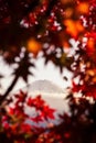 Mountain covered in the snow under the sunlight surrounded by red blurry maple leaves Royalty Free Stock Photo