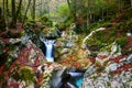 Mountain creek autumn in the Lepena valley Royalty Free Stock Photo