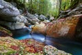 Mountain creek autumn in the Lepena valley Royalty Free Stock Photo