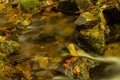 Mountain creek cascade with fresh green moss on the stones long exposure for soft water look Royalty Free Stock Photo