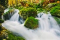 Mountain creek detail with mossy rocks and crystal clear water