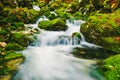Mountain creek detail with mossy rocks and crystal clear water Royalty Free Stock Photo