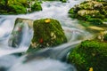 Mountain creek detail with mossy rocks and crystal clear water Royalty Free Stock Photo