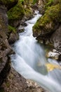 A mountain creek flowing between rapids and vegetation Royalty Free Stock Photo