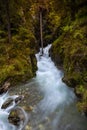 A mountain creek flowing between rapids and vegetation Royalty Free Stock Photo