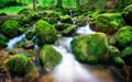 Mountain creek gently cascading through rocks Royalty Free Stock Photo