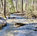 Mountain Creek at Moss Rock Preserve