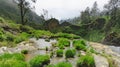 Mountain Creek, Mountain valley, volcano, green hills, mountain river, ascent to the volcano