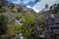 Mountain creek in Peneda Geres, Portugal Royalty Free Stock Photo