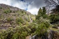 Mountain creek in Peneda Geres, Portugal Royalty Free Stock Photo