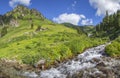 Mountain creek, picturesque spring view. Clean stream, green meadows Royalty Free Stock Photo